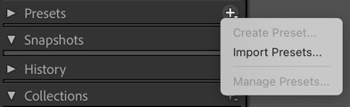 LrImportPresets.jpg